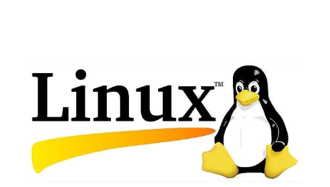 有哪些领域在使用Linux操作系统？