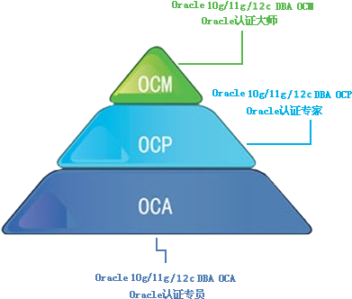 ORACLE OCM认证含金量